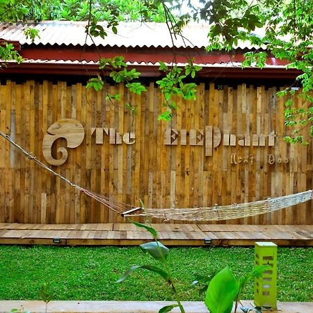 The Elephant Next-Door اوداوالاوي المظهر الخارجي الصورة