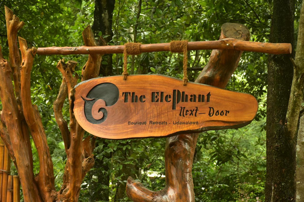 The Elephant Next-Door اوداوالاوي المظهر الخارجي الصورة