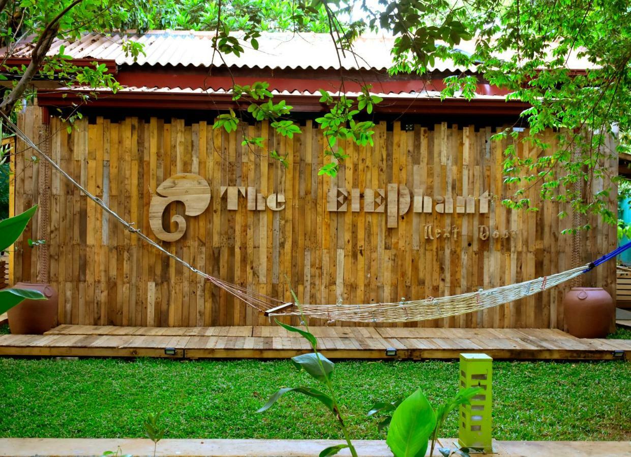 The Elephant Next-Door اوداوالاوي المظهر الخارجي الصورة