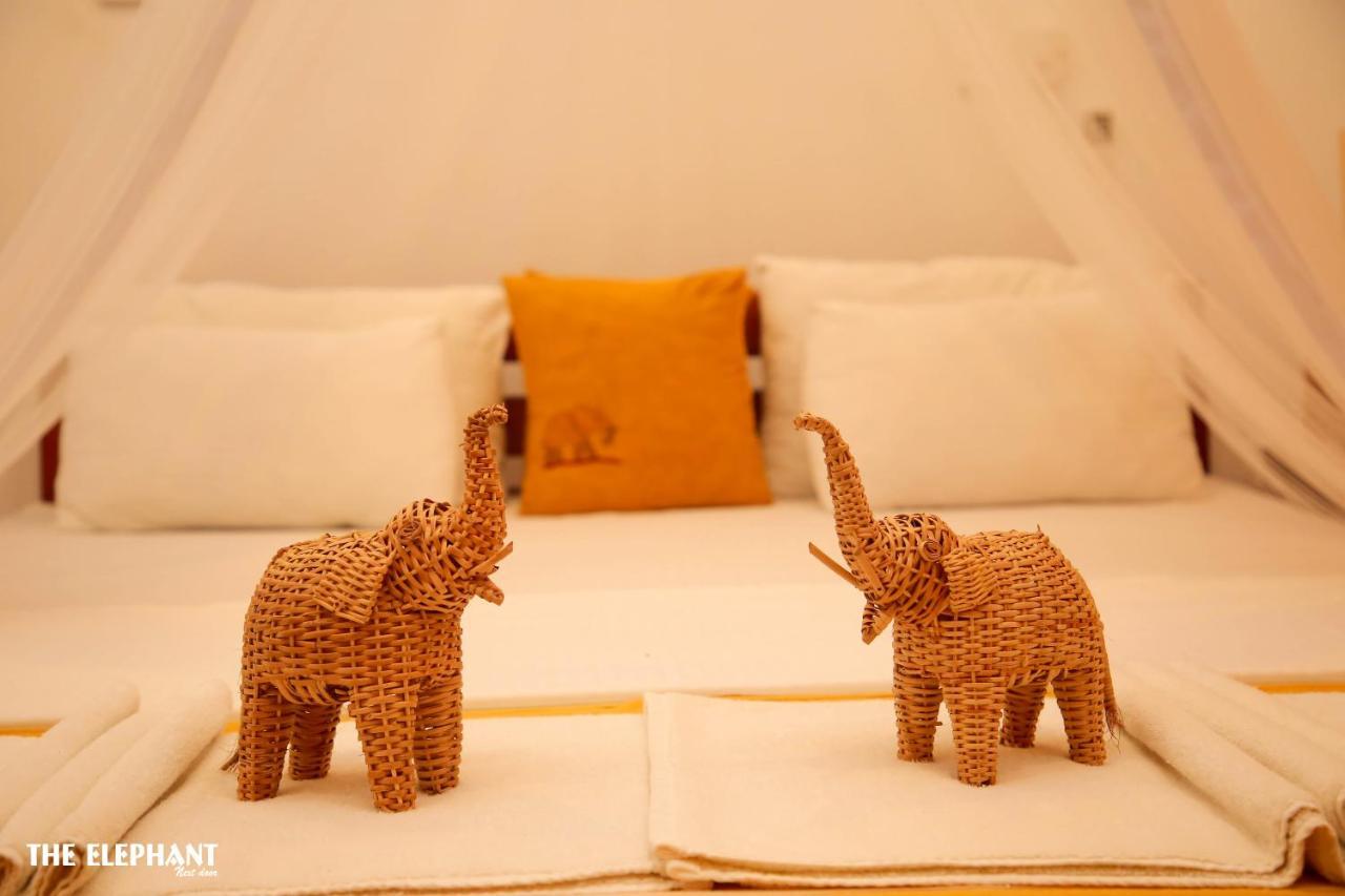 The Elephant Next-Door اوداوالاوي المظهر الخارجي الصورة